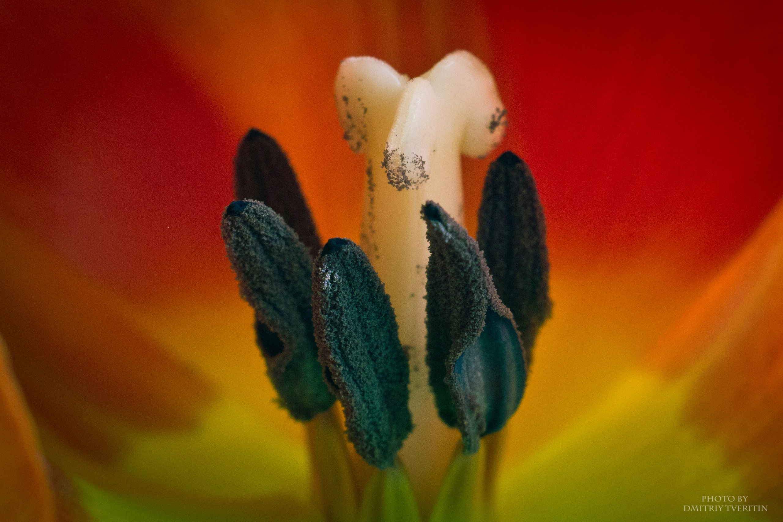 Предметная